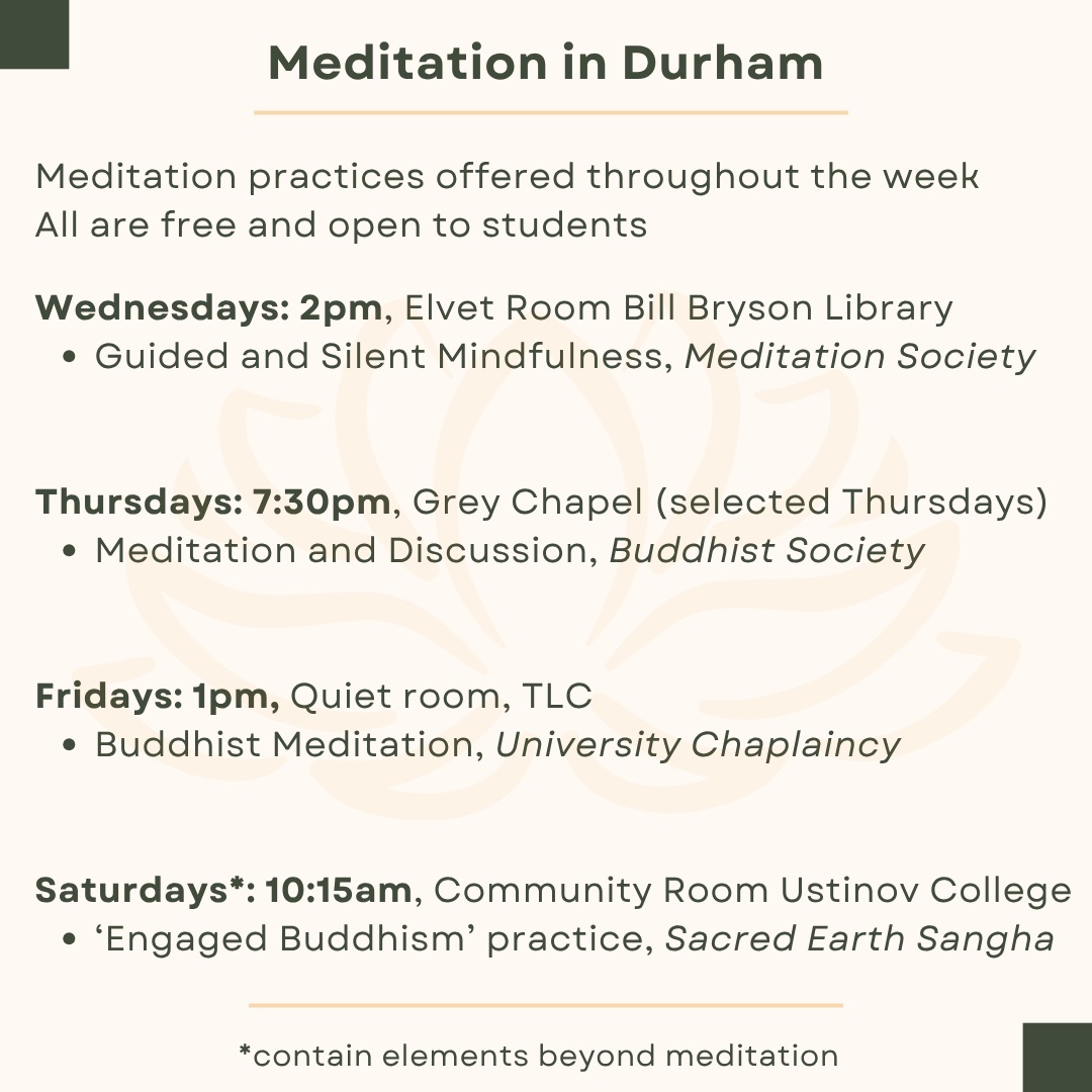 Engaged Buddhism Practice Instagram post